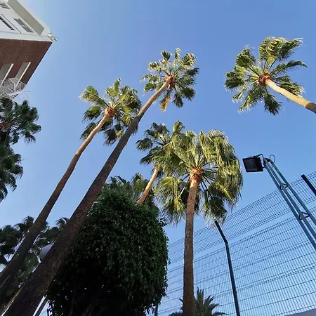 Cherry Cake * 普拉亚戴尔雷安格莱斯