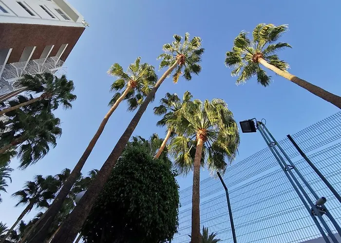 Cherry Cake * 普拉亚戴尔雷安格莱斯